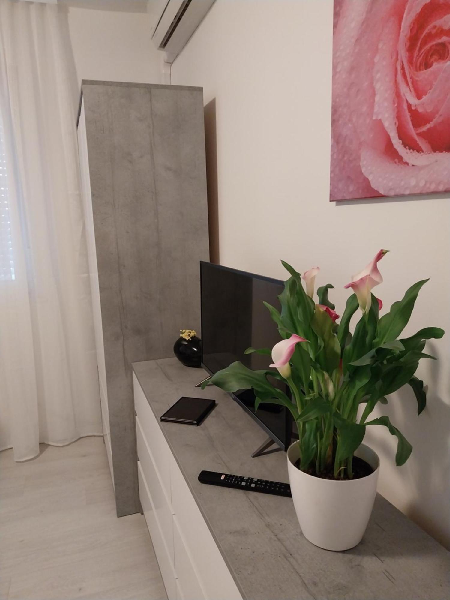 Studio M Pula Exteriér fotografie